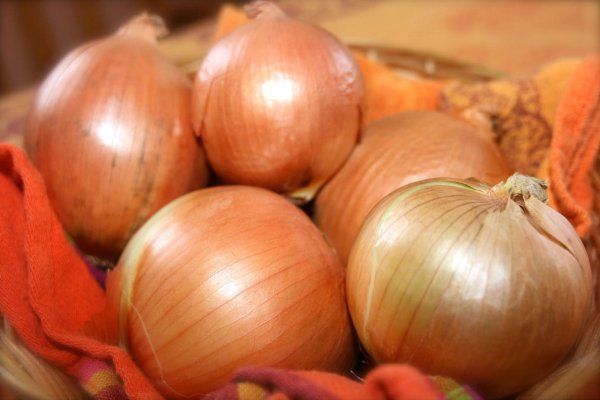 Mega onion link
